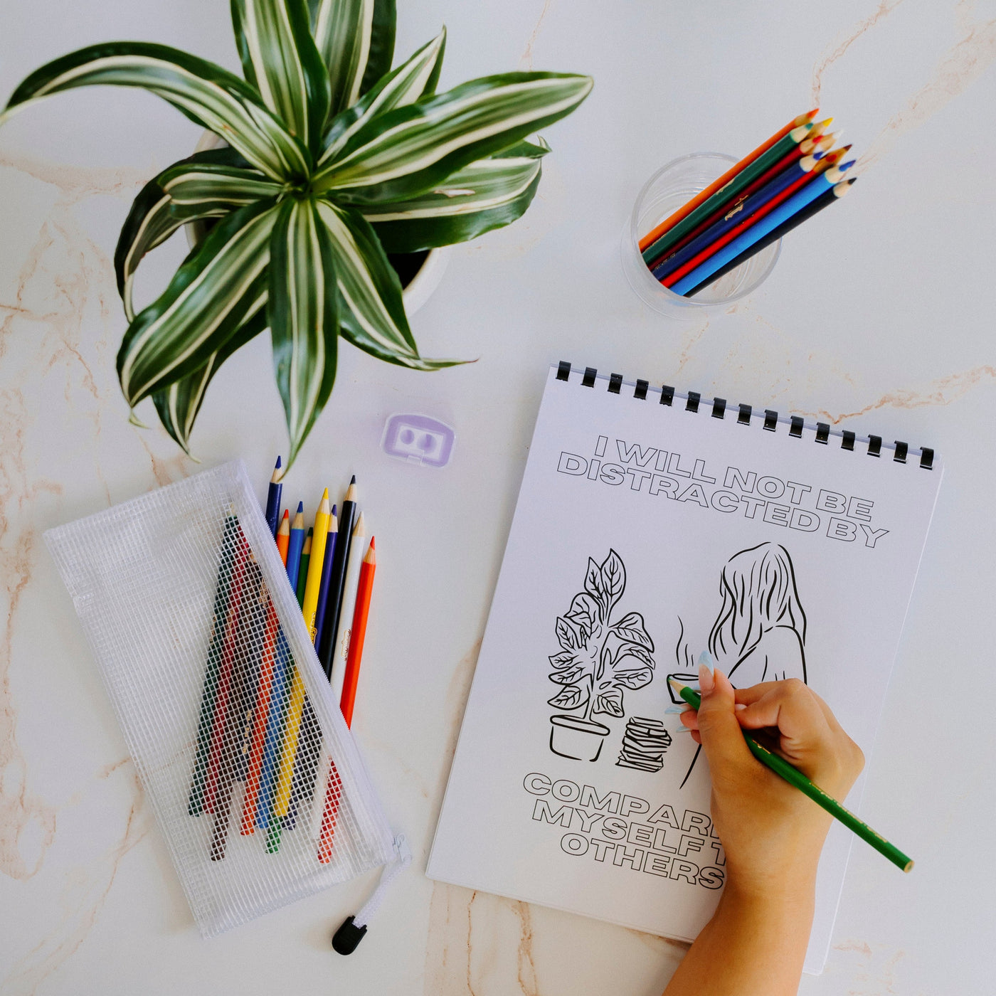 Entrepreneurs Affirmation Coloring Book | Colored pencil & pouch set